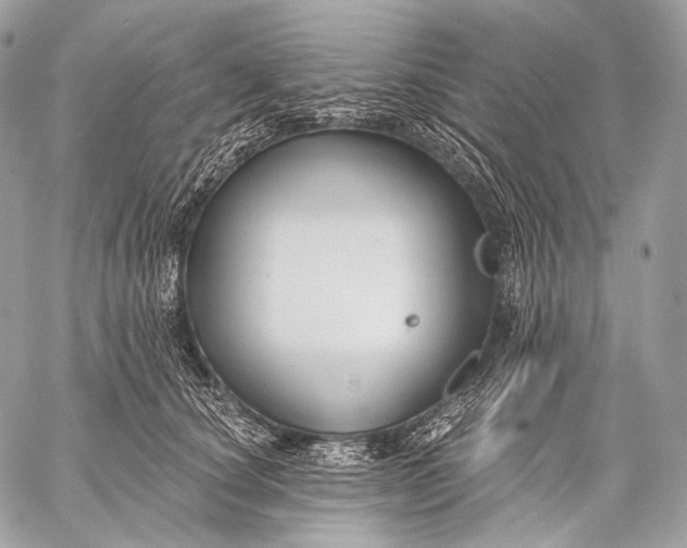 X0000059040660200510281543