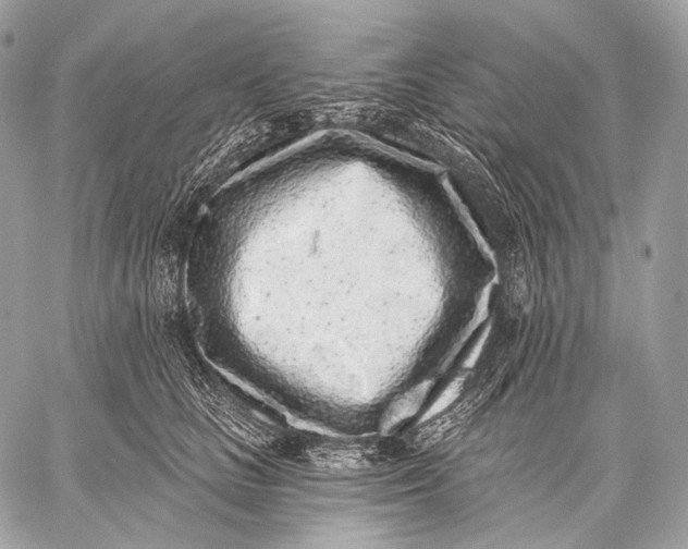 X0000059040661200510281543