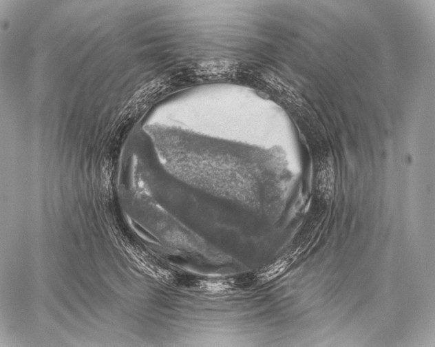 X0000059040662200510281543