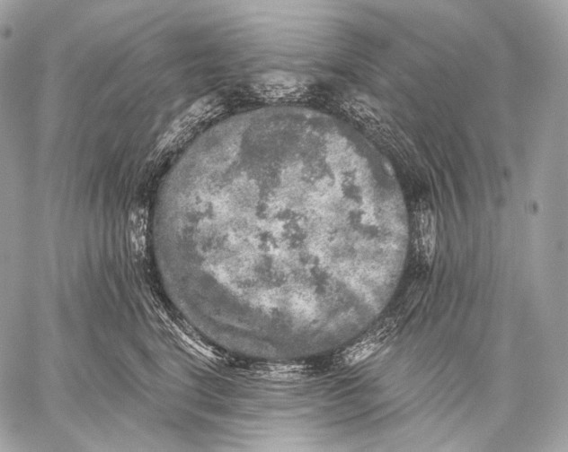 X0000059040664200510281543