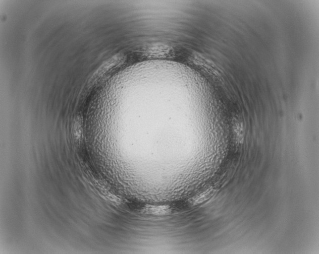 X0000059040665200510281543