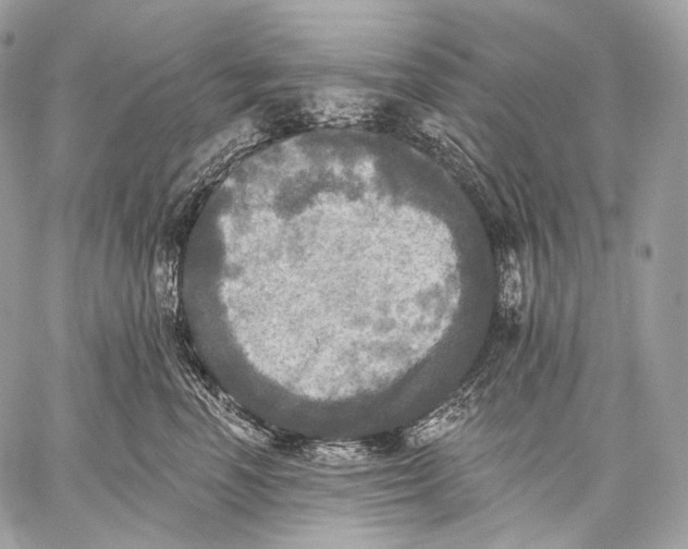 X0000059040666200510281543