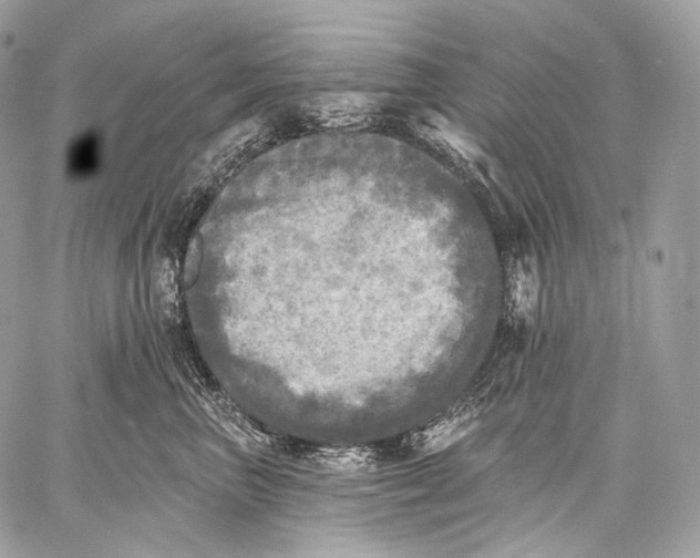 X0000059040667200510281543