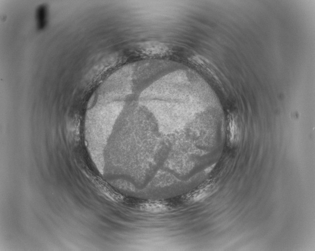 X0000059040668200510281543