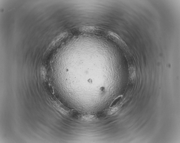 X0000059040669200510281543