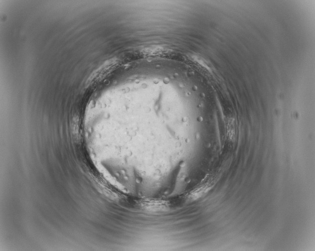 X0000059040670200510281543