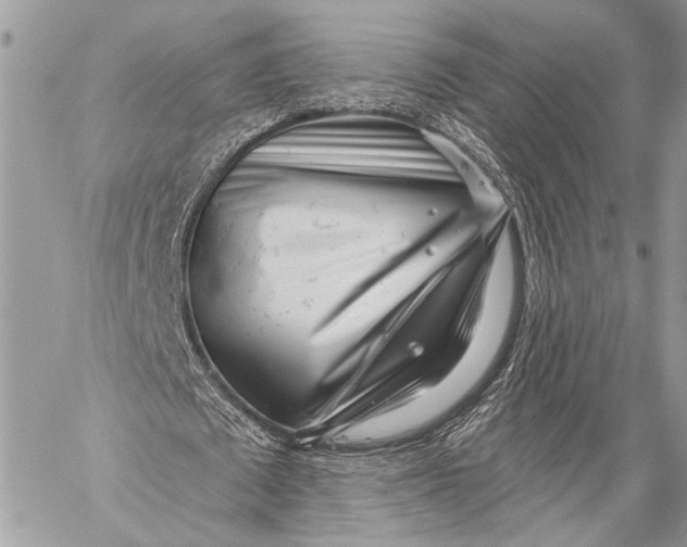 X0000059040673200510281543