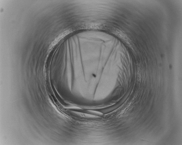 X0000059040674200510281543