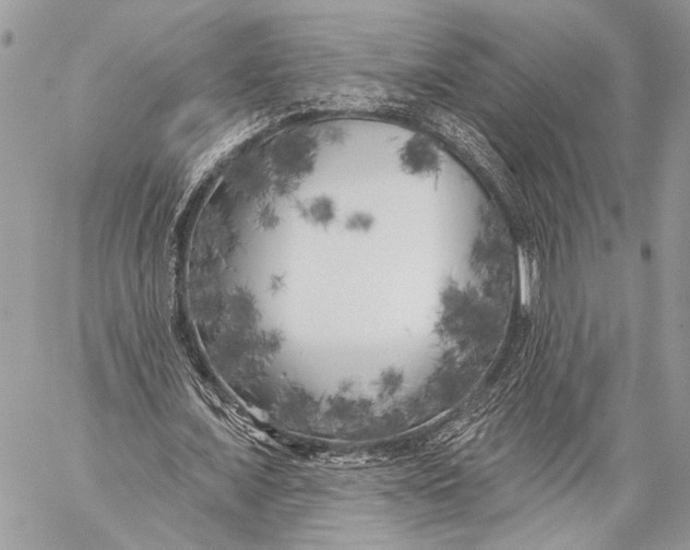 X0000059040675200510281543