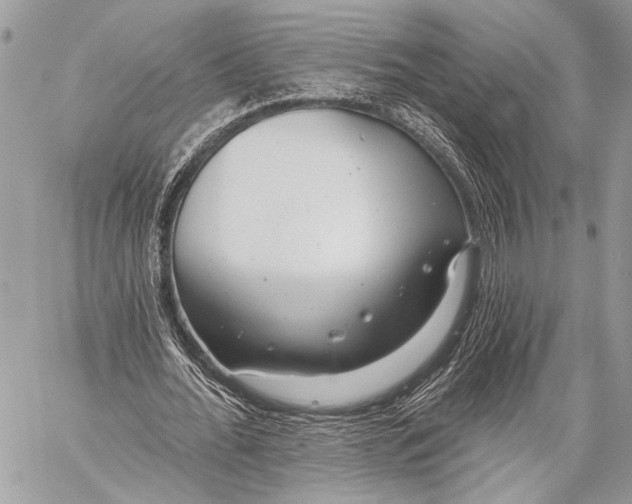 X0000059040676200510281543