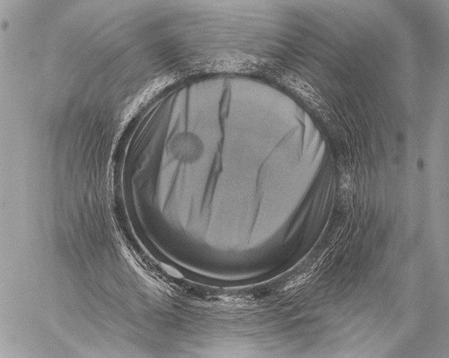 X0000059040678200510281543