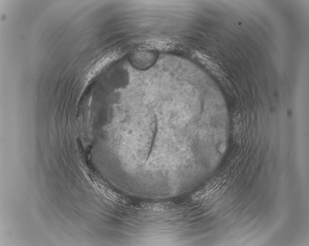 X0000059040679200510281543