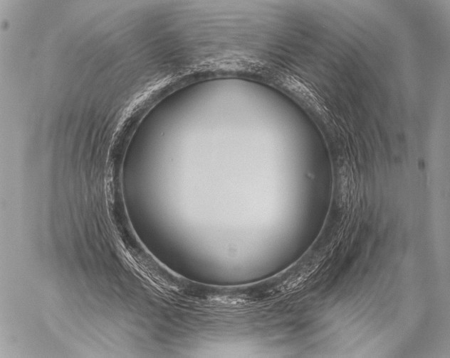 X0000059040680200510281543