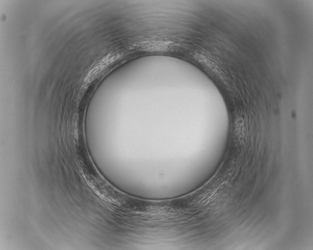 X0000059040682200510281543