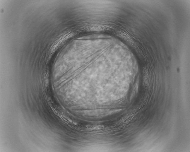 X0000059040683200510281543