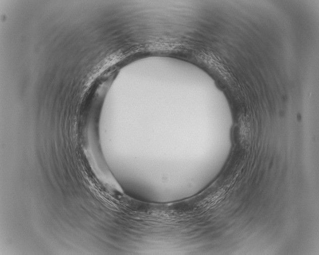 X0000059040684200510281543