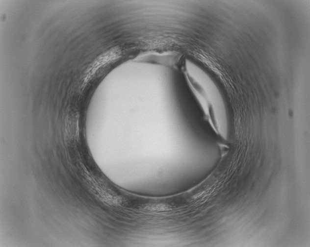 X0000059040685200510281543