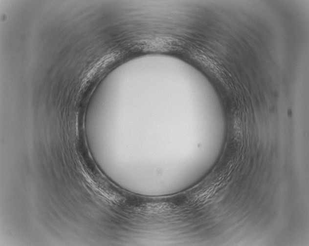 X0000059040686200510281542