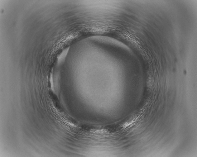 X0000059040689200510281542