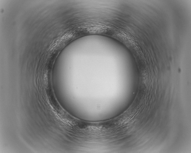 X0000059040690200510281542