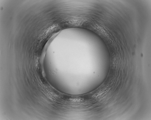 X0000059040693200510281542