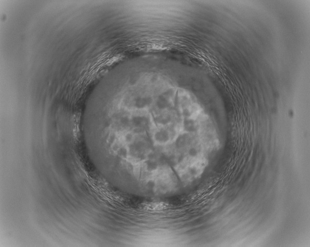 X0000059040695200510281542