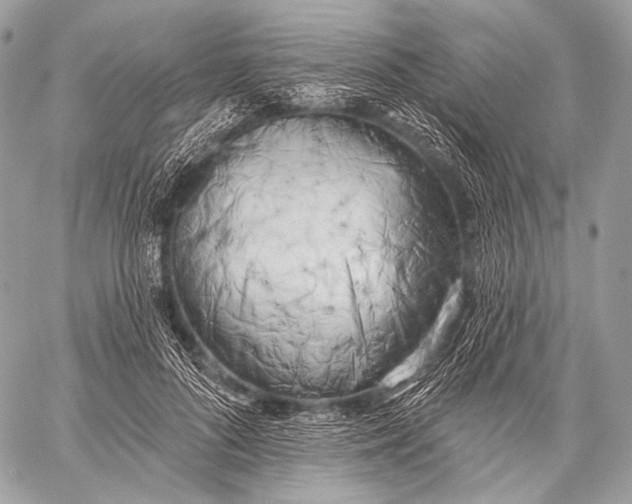 X0000059040696200510281542