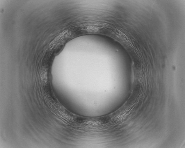 X0000059040697200510281542