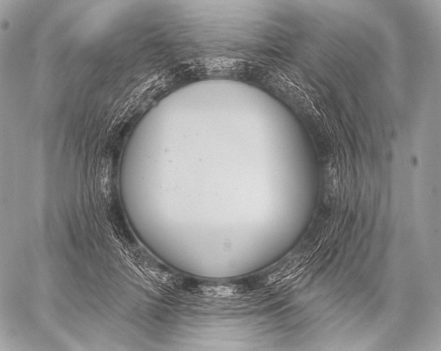 X0000059040698200510281542