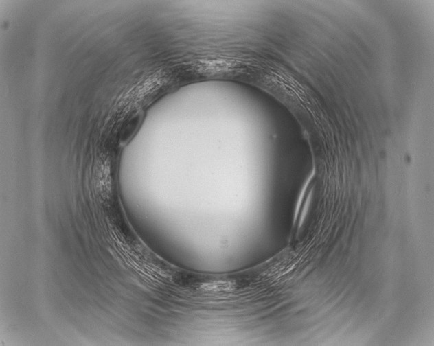 X0000059040700200510281542