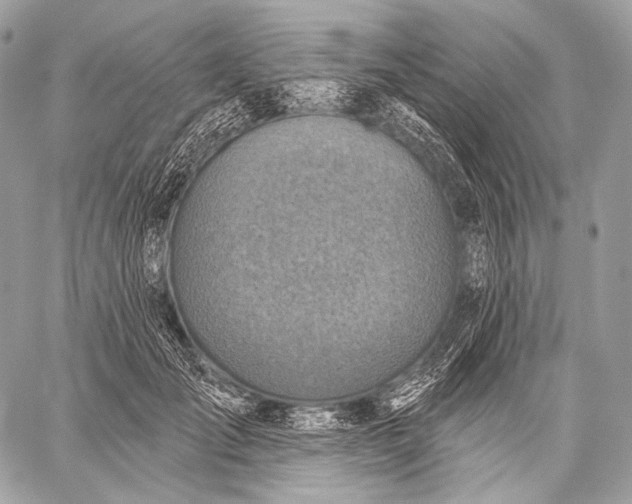 X0000059040701200510281542