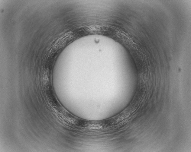 X0000059040702200510281542