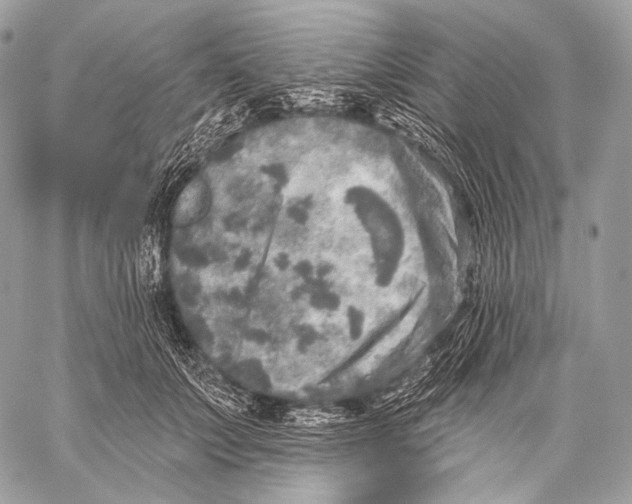 X0000059040703200510281542