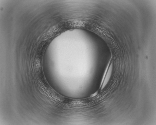 X0000059040704200510281542