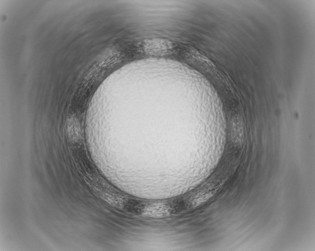 X0000059040705200510281542