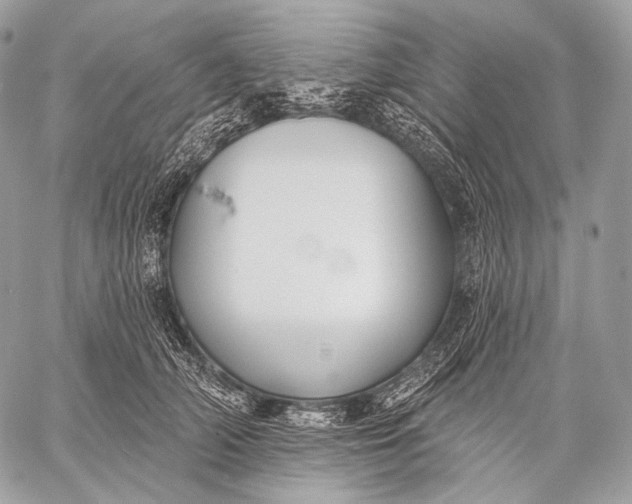 X0000059040706200510281542