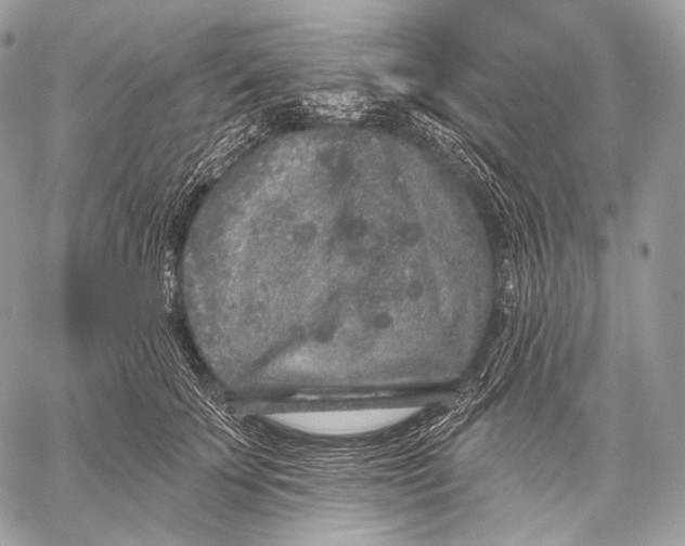 X0000059040707200510281542