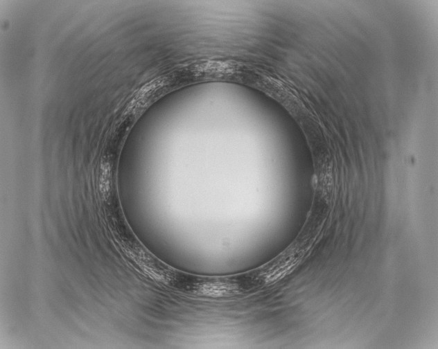 X0000059040708200510281542