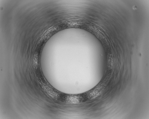 X0000059040710200510281542