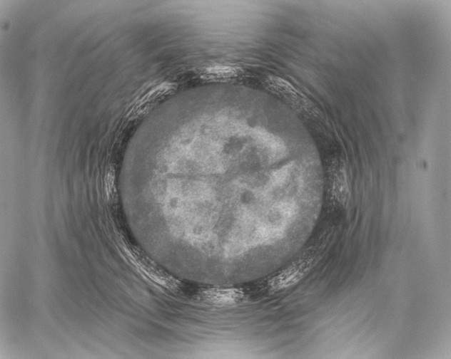 X0000059040711200510281542