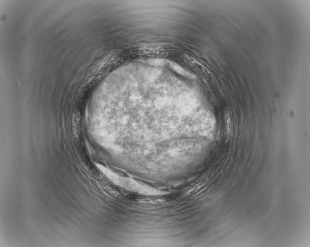 X0000059040712200510281542