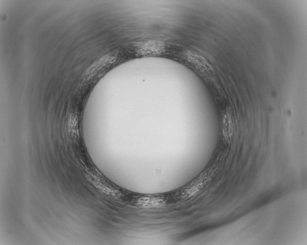 X0000059040714200510281542