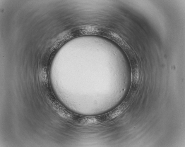 X0000059040715200510281542