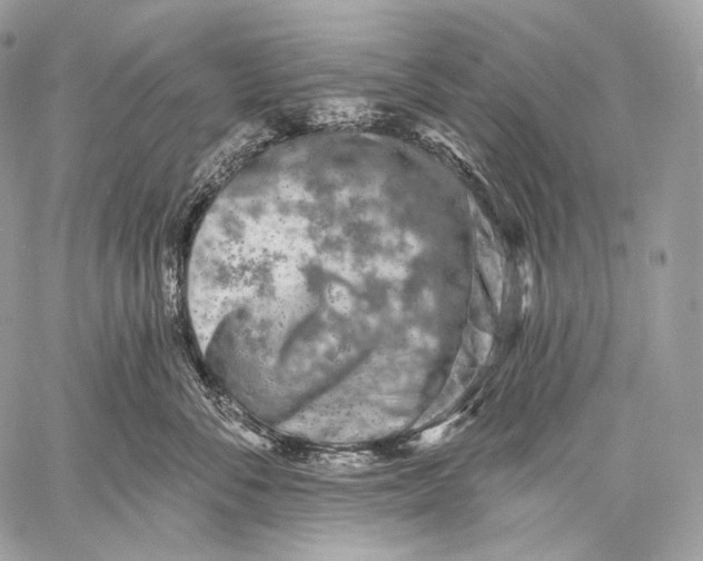 X0000059040716200510281542