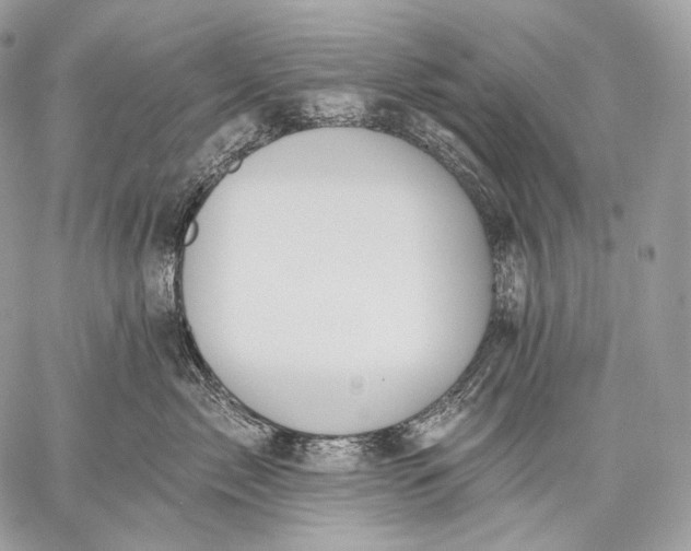 X0000059040717200510281542