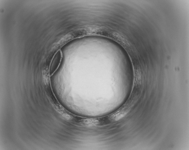 X0000059040719200510281542