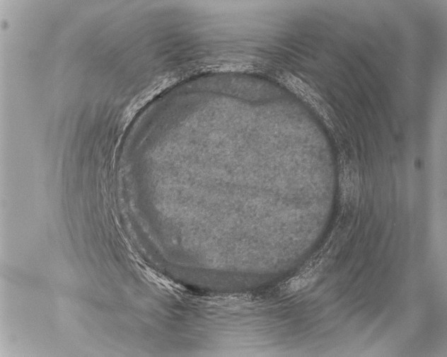 X0000059040721200510281541