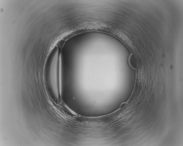 X0000059040722200510281541