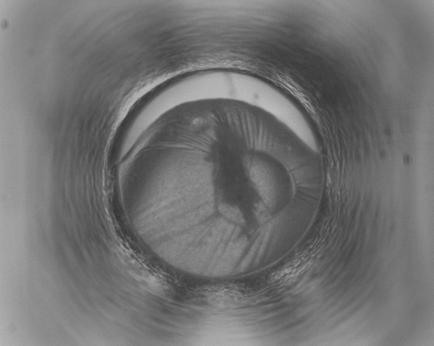 X0000059040724200510281541