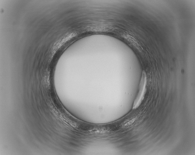 X0000059040727200510281541